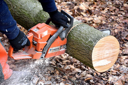 A closeup of a chainsaw cutting a log