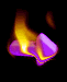 an image